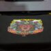 Direct-to-Film vs. Embroidery